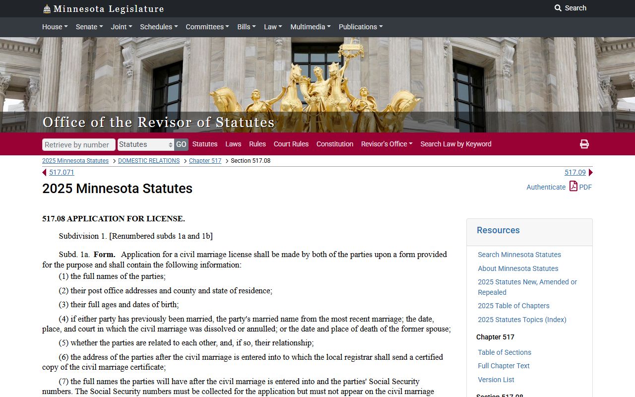 Minnesota marriage license application statute